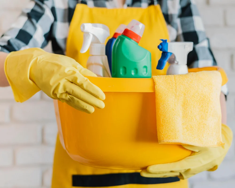 Professional Cleaning Services