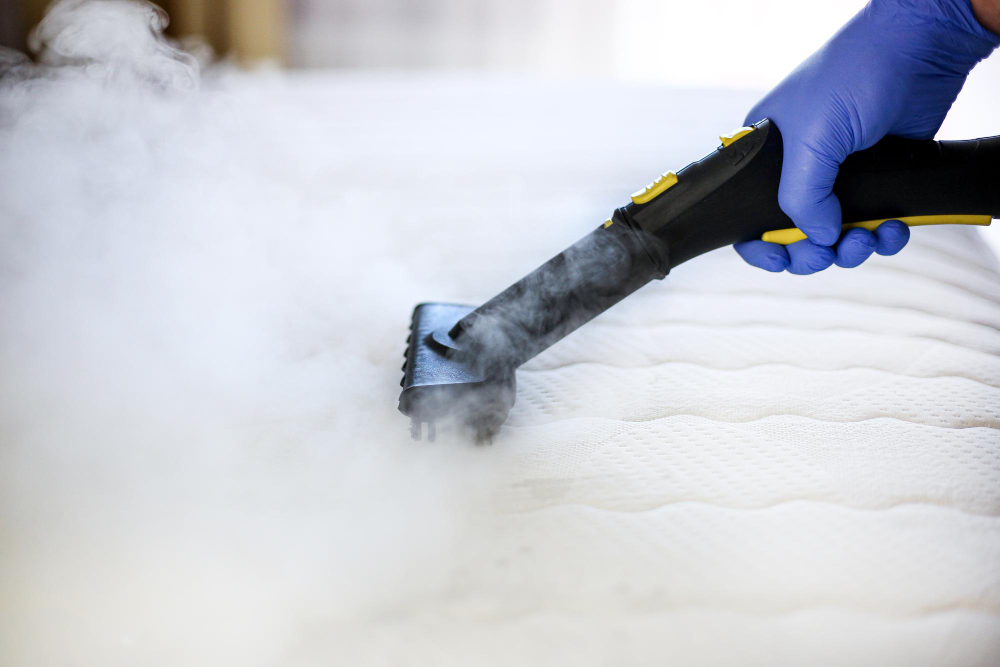 Steam Vapor Cleaning